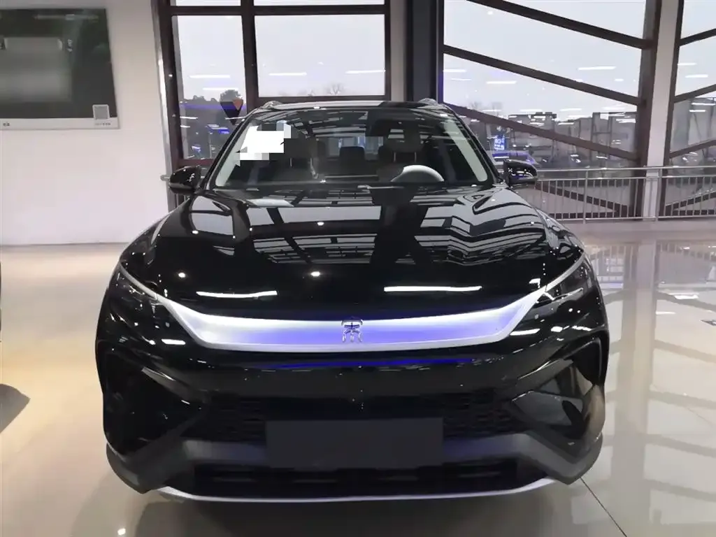 BYD Pro New Energy 2025 из CN, фото 6