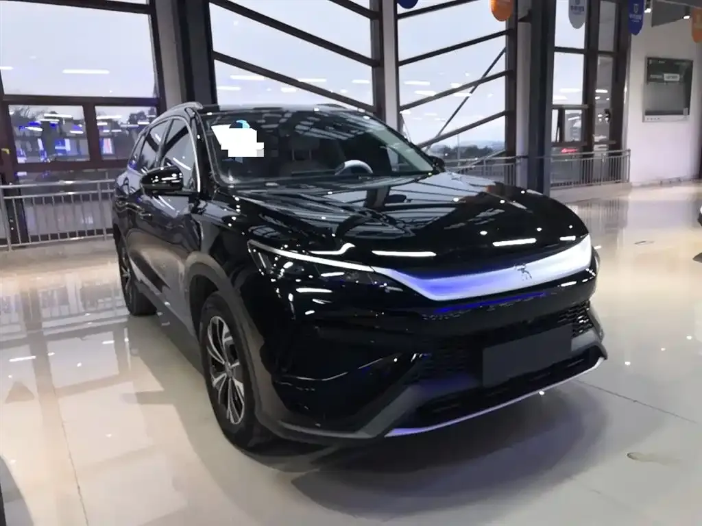 BYD Pro New Energy 2025 из CN, фото 4