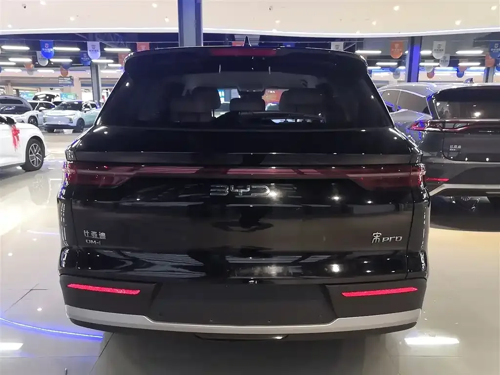BYD Pro New Energy 2025 из CN, фото 3