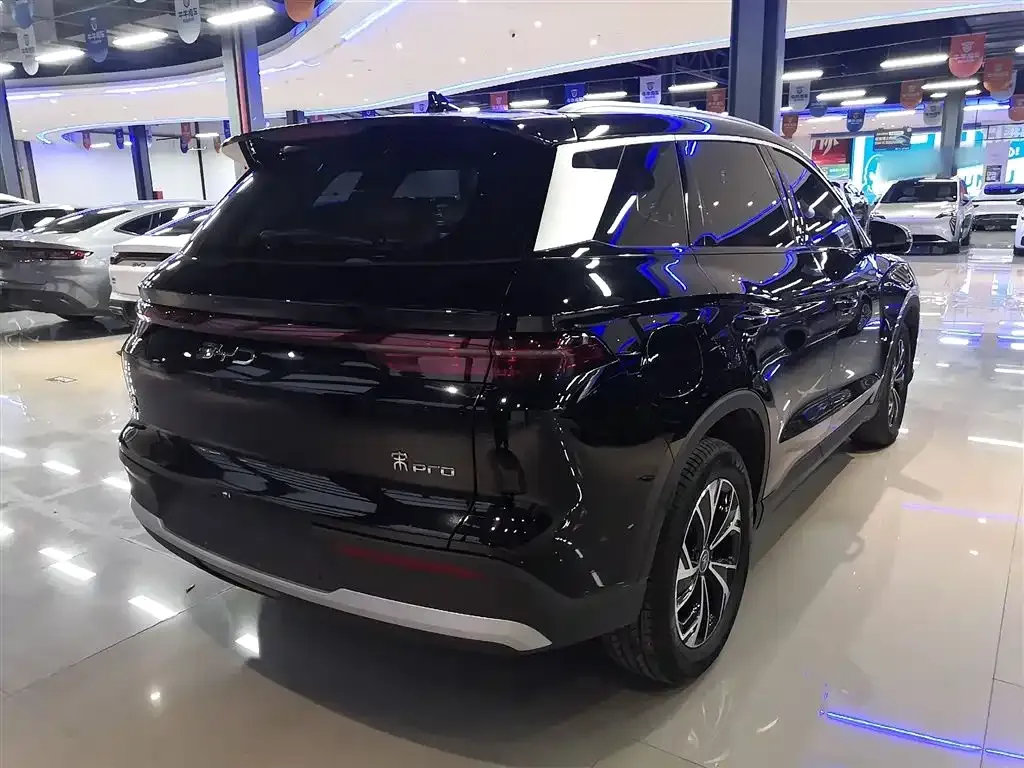 BYD Pro New Energy 2025 из CN, фото 9