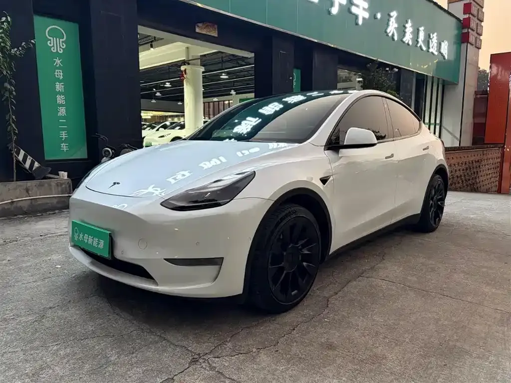 Tesla Model Y 2021 из CN, фото 1