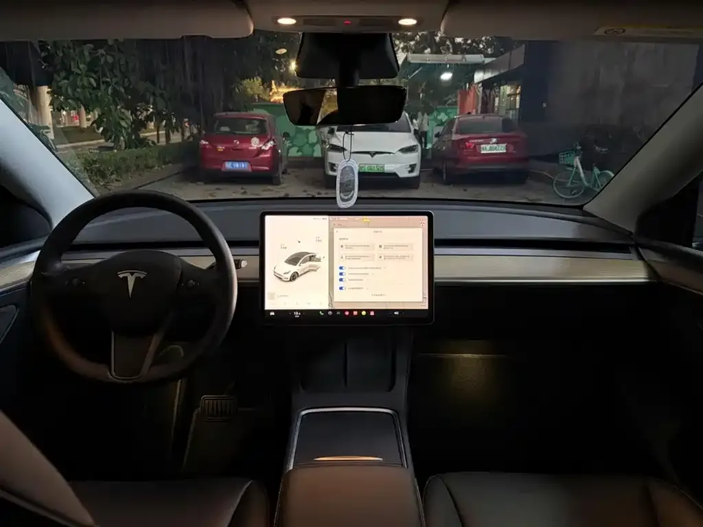Tesla Model Y 2021 из CN, фото 7