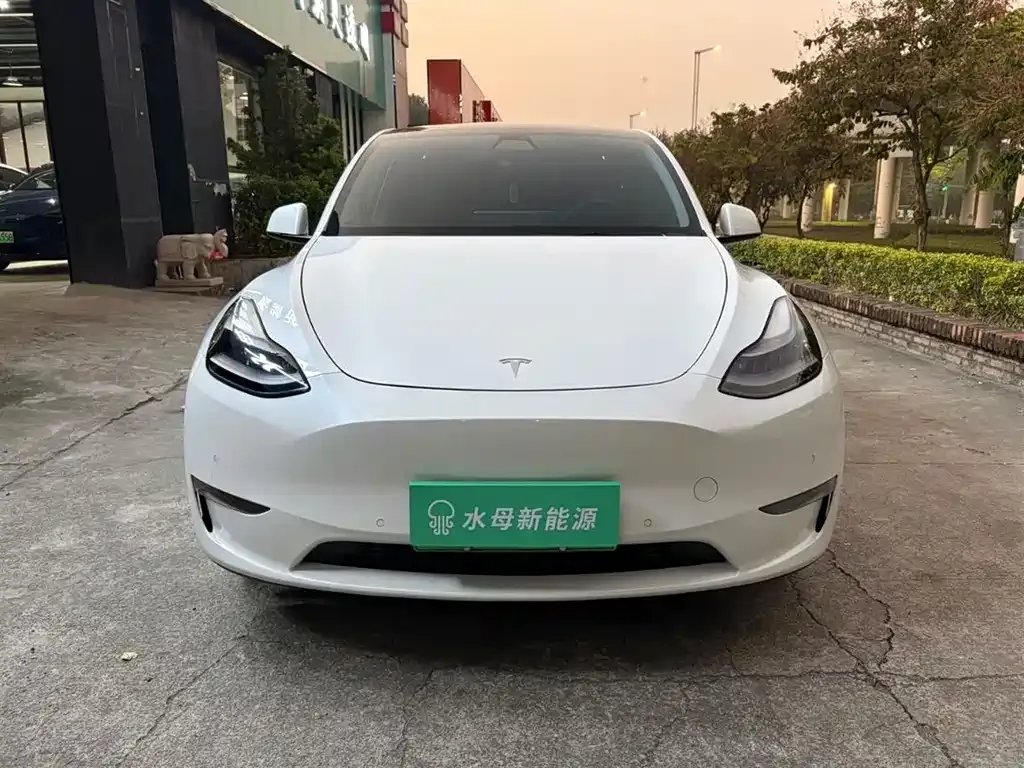 Tesla Model Y 2021 из CN, фото 4