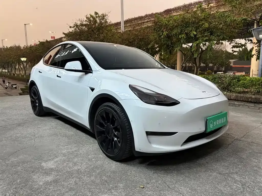 Tesla Model Y 2021 из CN, фото 5