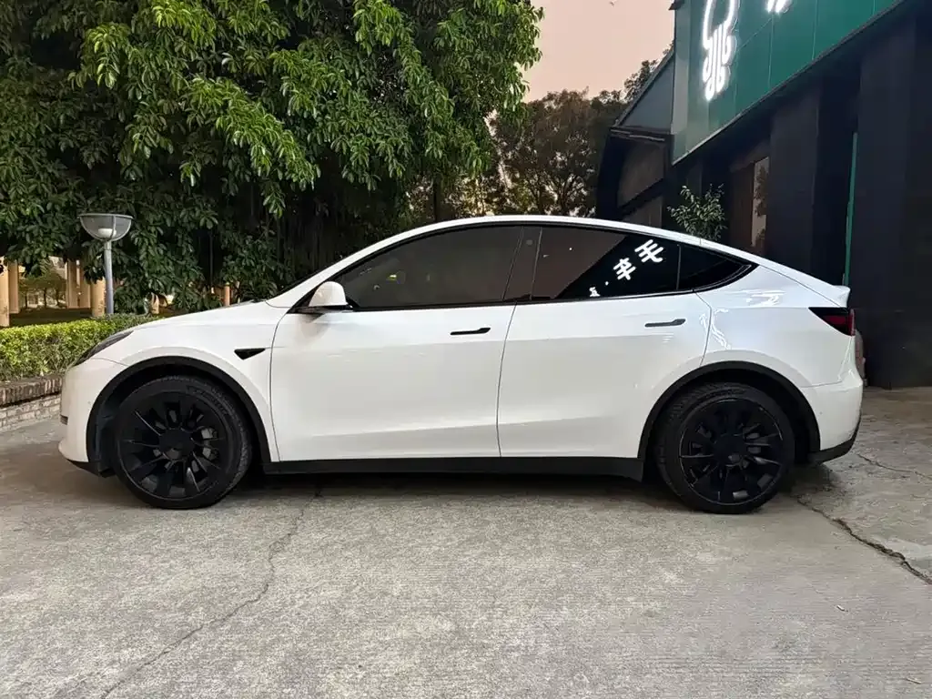 Tesla Model Y 2021 из CN, фото 10