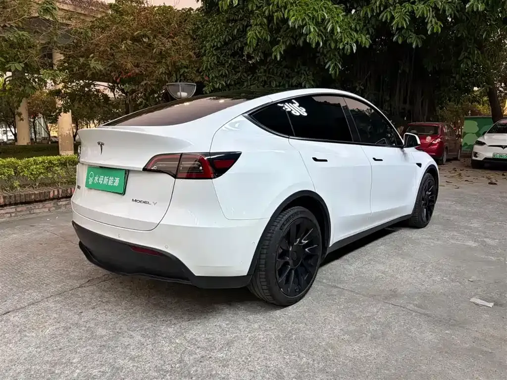 Tesla Model Y 2021 из CN, фото 9