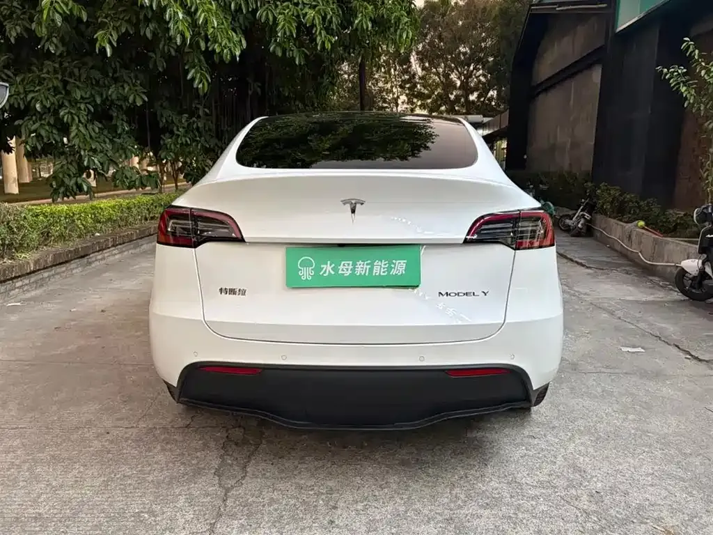 Tesla Model Y 2021 из CN, фото 6
