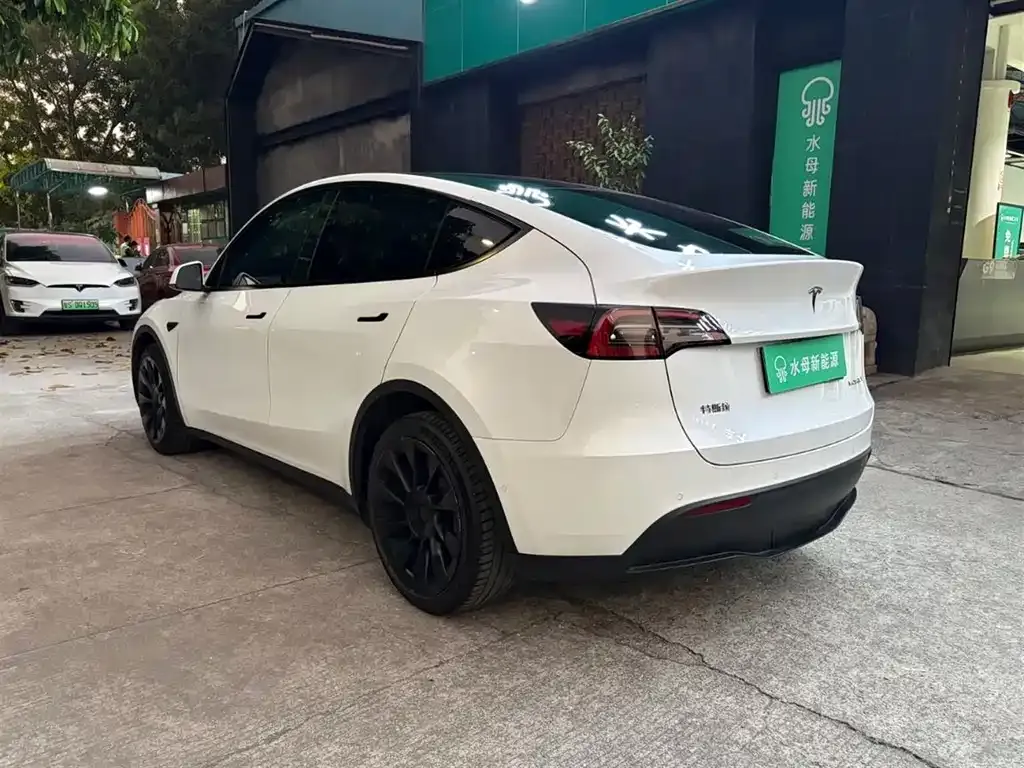 Tesla Model Y 2021 из CN, фото 8