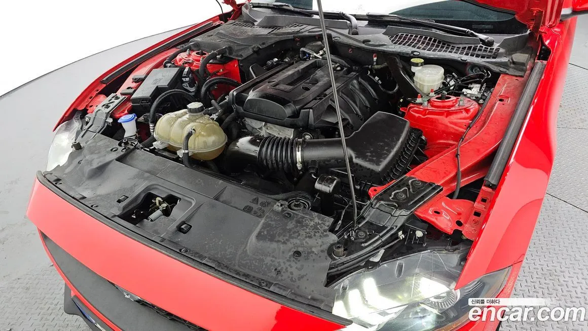Ford Mustang 2022 из KR, фото 2