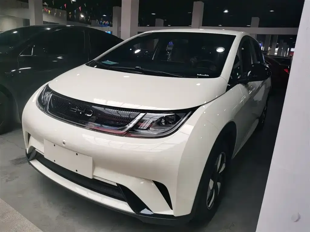 BYD Dolphin 2025 из CN, фото 1