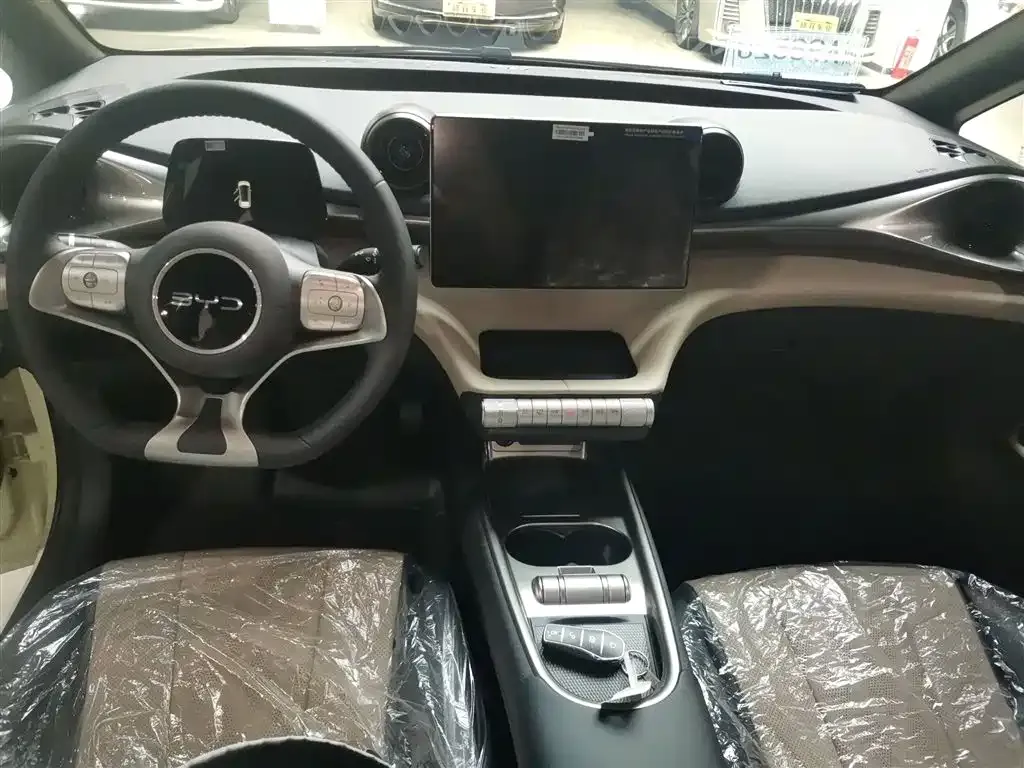 BYD Dolphin 2025 из CN, фото 5