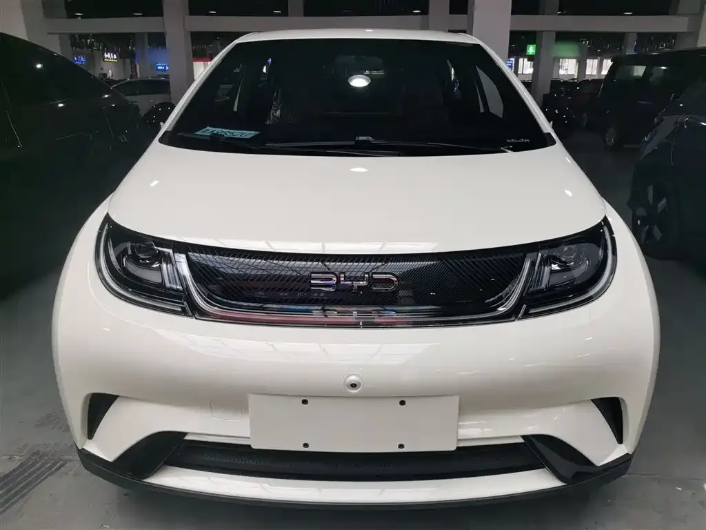 BYD Dolphin 2025 из CN, фото 10