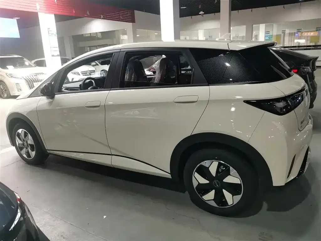 BYD Dolphin 2025 из CN, фото 2