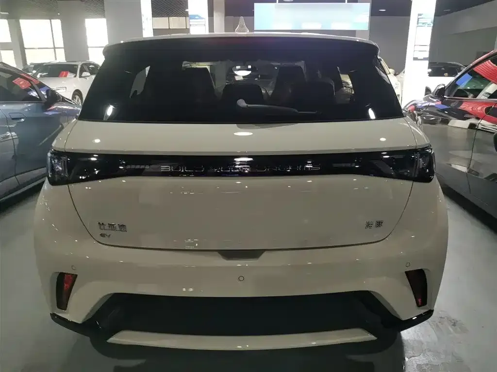 BYD Dolphin 2025 из CN, фото 4