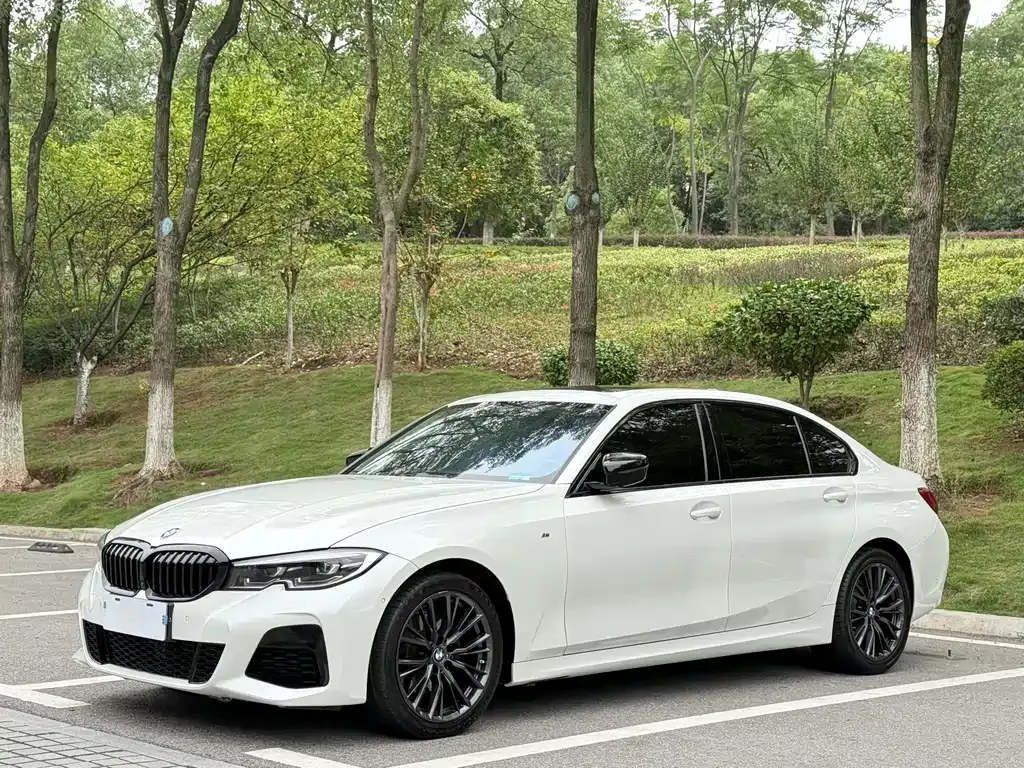 BMW 3 Series — фото 1