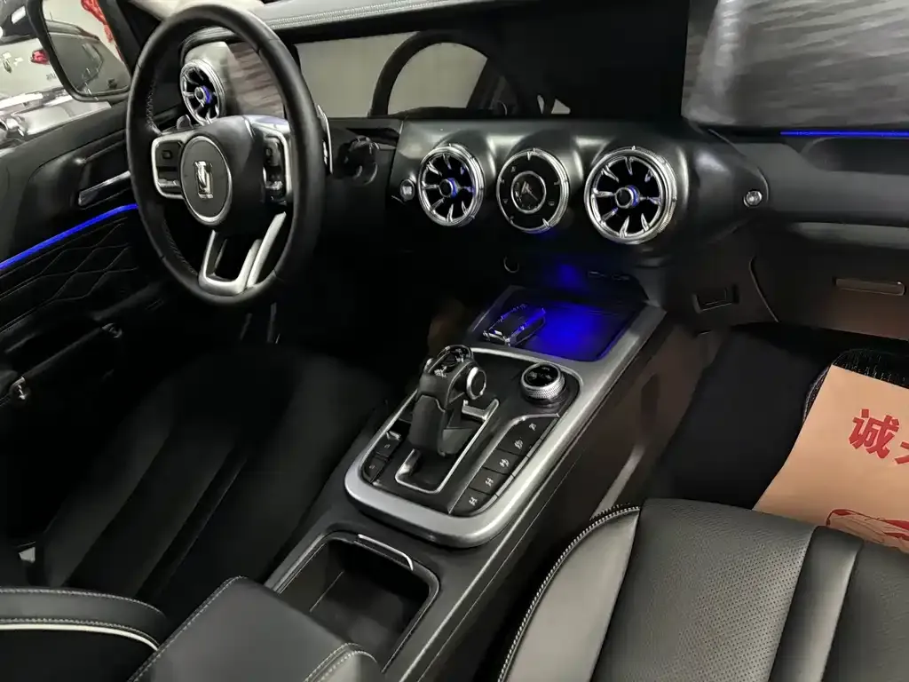 Tank 300 2023 из CN, фото 7