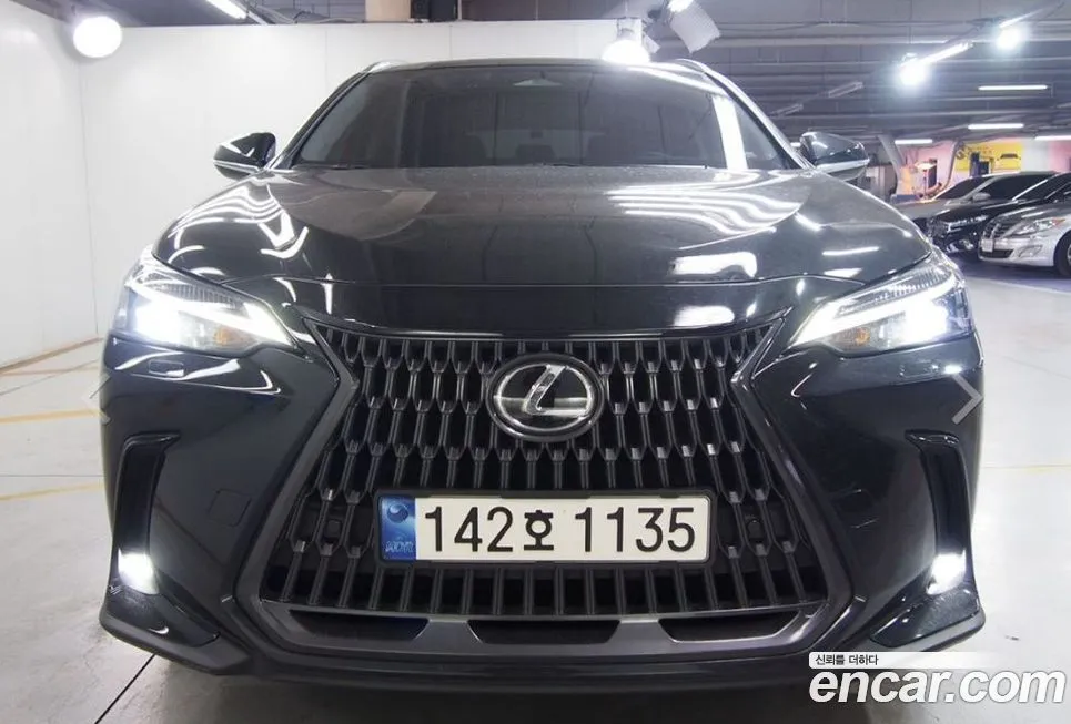 Lexus NX 2024 из KR, фото 1
