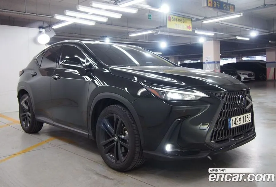 Lexus NX 2024 из KR, фото 2