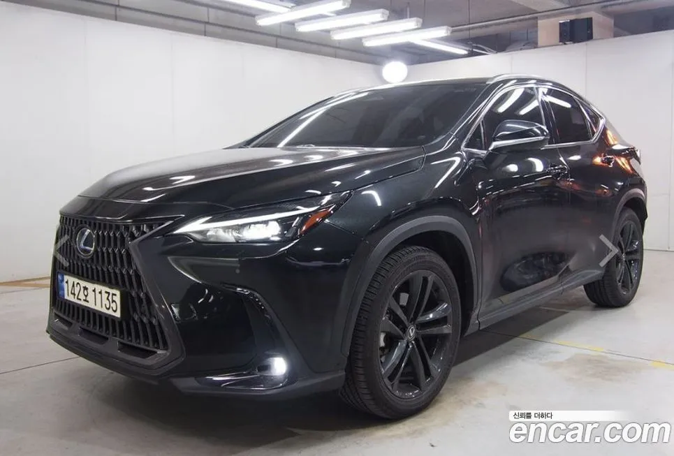 Lexus NX 2024 из KR, фото 7