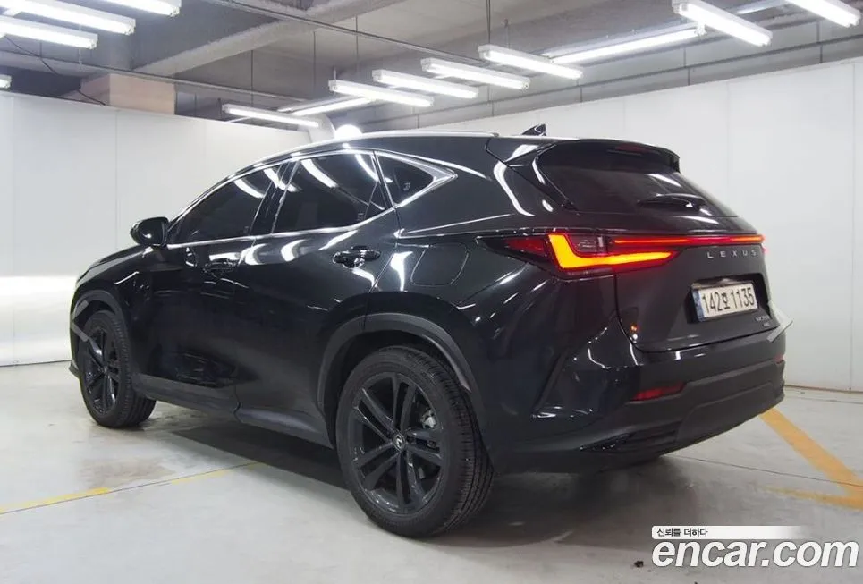 Lexus NX 2024 из KR, фото 3