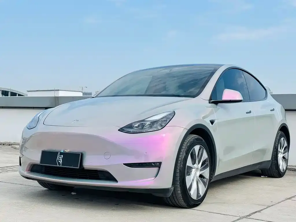 Tesla Model Y 2021 из CN, фото 1