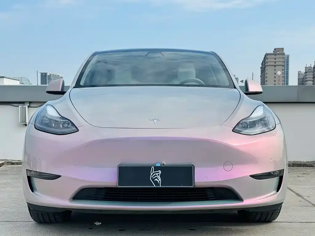 Tesla Model Y 2021 из CN, фото 2