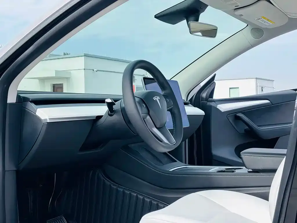 Tesla Model Y 2021 из CN, фото 4