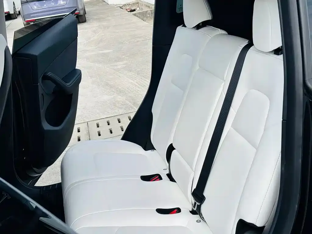 Tesla Model Y 2021 из CN, фото 5