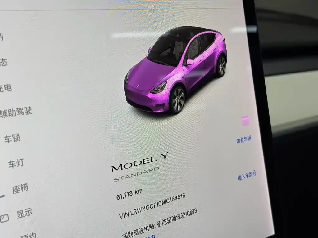 Tesla Model Y 2021 из CN, фото 6