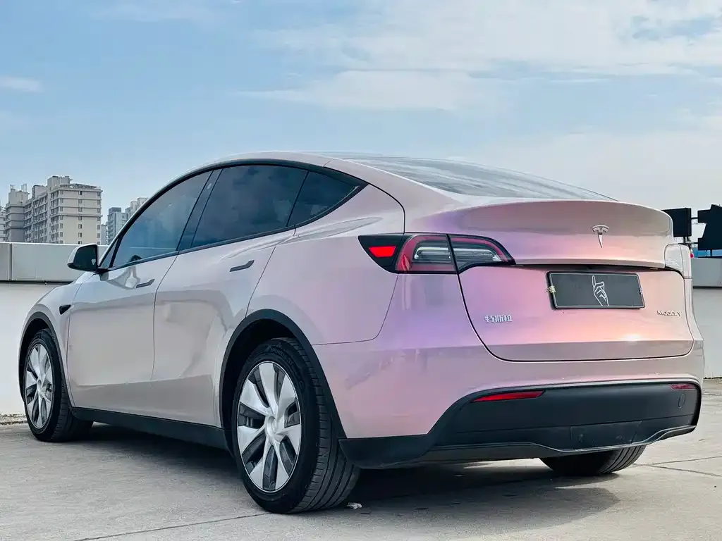 Tesla Model Y 2021 из CN, фото 7