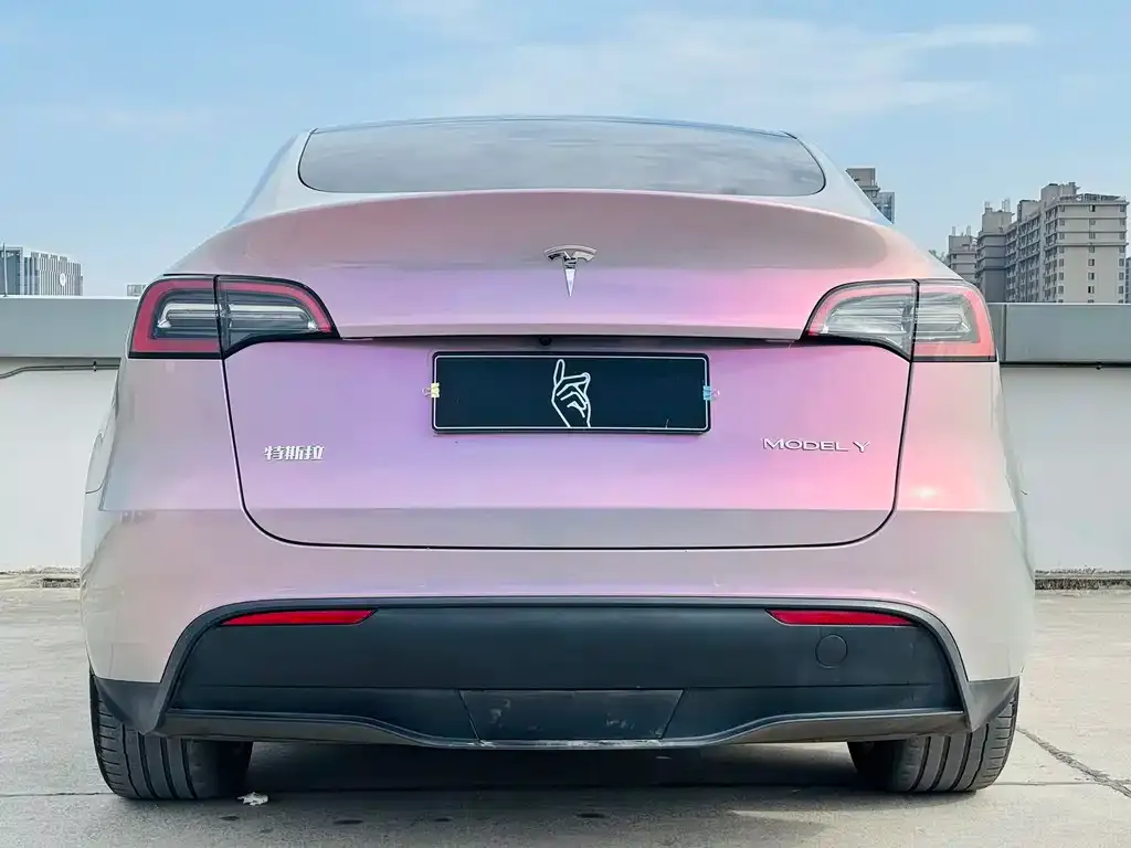 Tesla Model Y 2021 из CN, фото 8