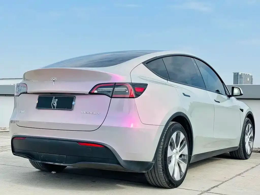 Tesla Model Y 2021 из CN, фото 9