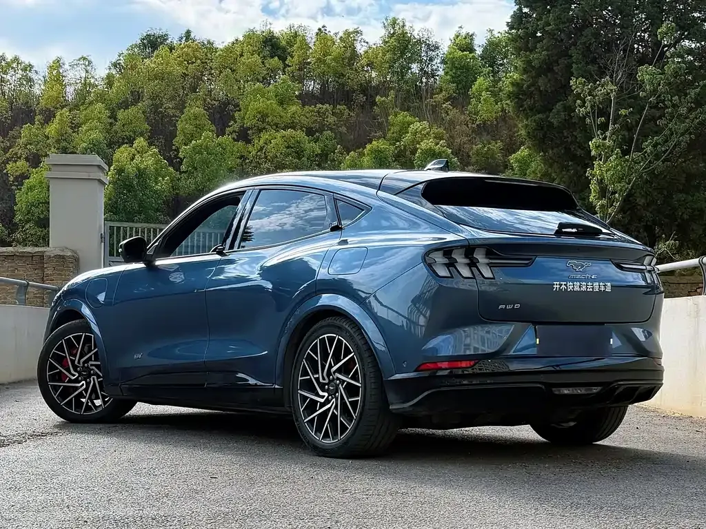 Ford Mustang Mach-E 2022 из CN, фото 3