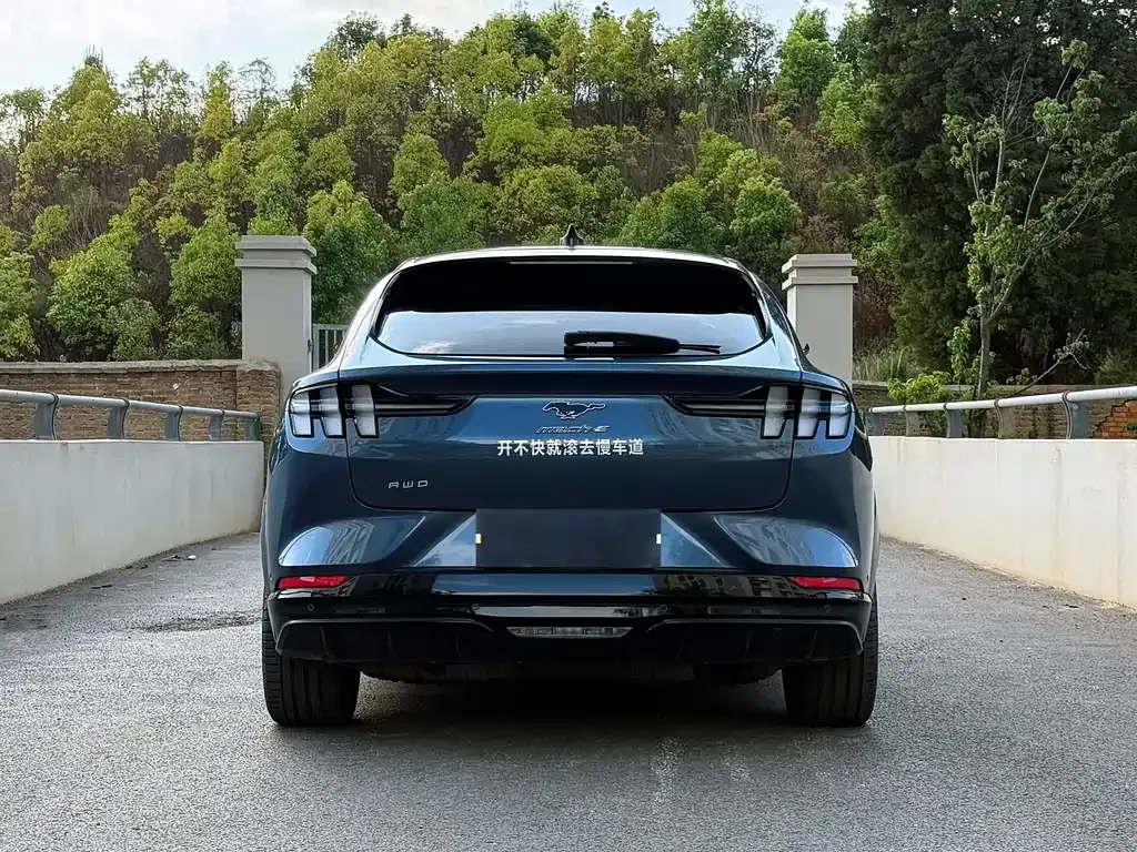 Ford Mustang Mach-E 2022 из CN, фото 9