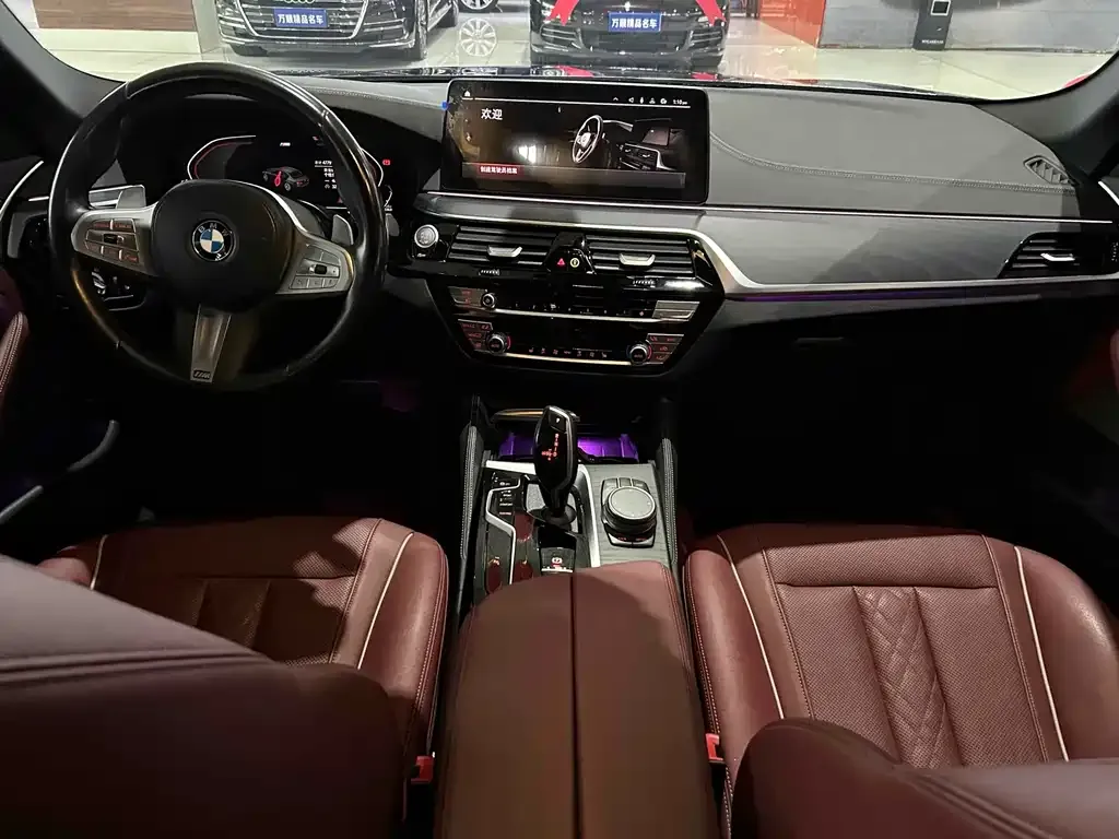 BMW 5 Series 2023 из CN, фото 8