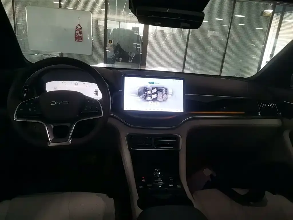 BYD PLUS New Energy 2024 из CN, фото 10