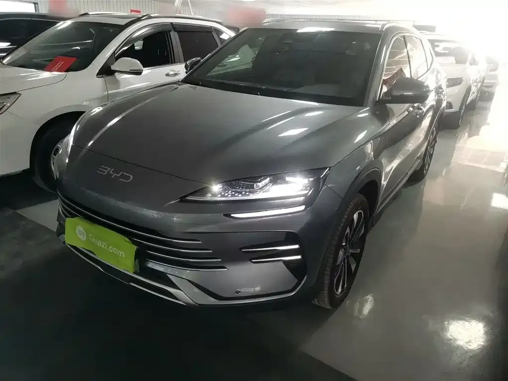 BYD PLUS New Energy 2024 из CN, фото 2