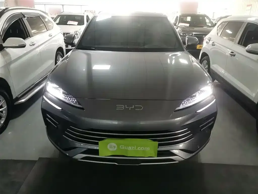 BYD PLUS New Energy 2024 из CN, фото 3
