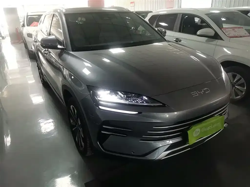 BYD PLUS New Energy 2024 из CN, фото 4