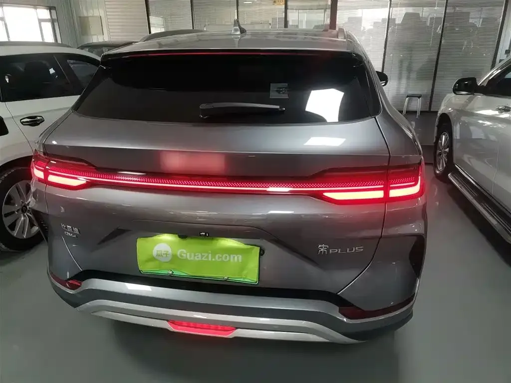BYD PLUS New Energy 2024 из CN, фото 6
