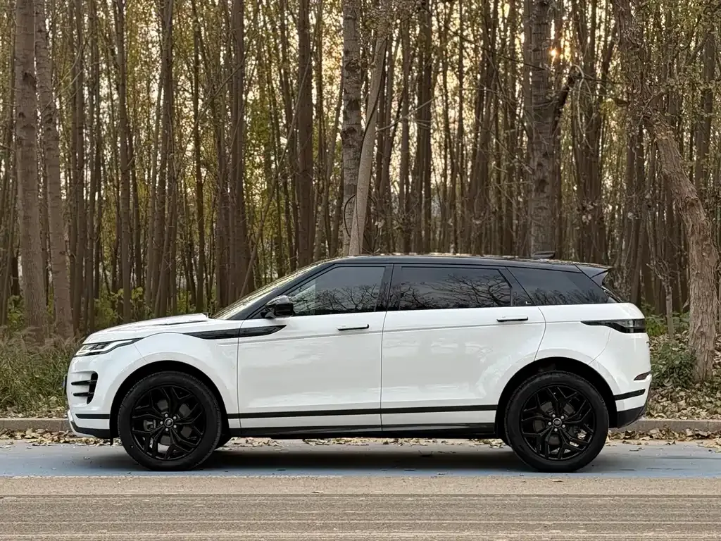 Land Rover Evoque 2022 из CN, фото 10