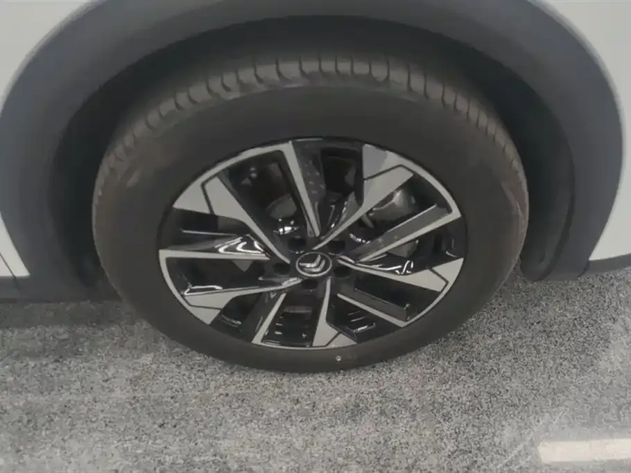 Citroen C5 X 2024 из CN, фото 3