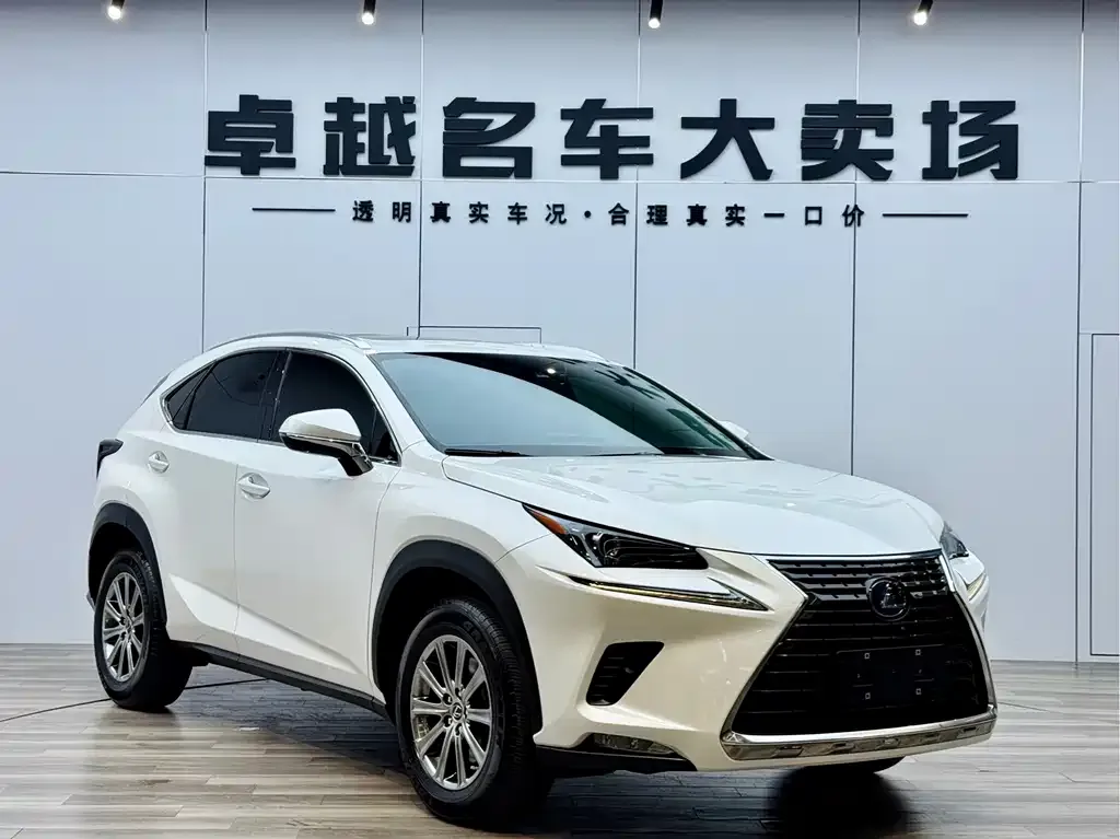 Lexus NX 2021 из CN, фото 4