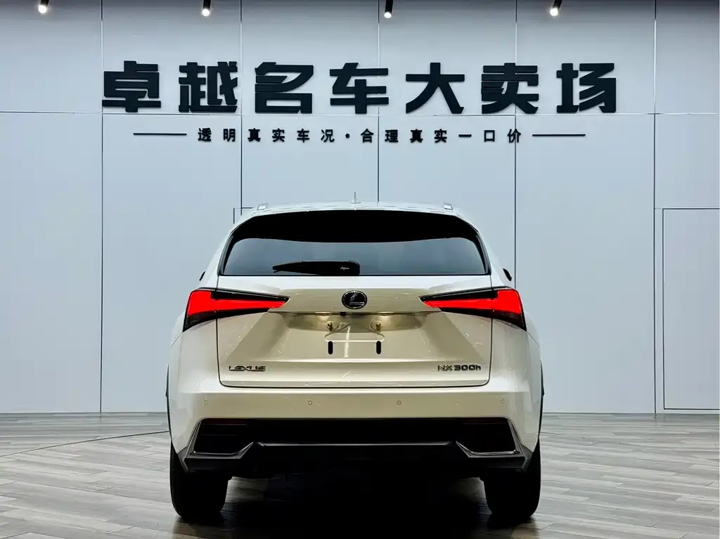 Lexus NX 2021 из CN, фото 6