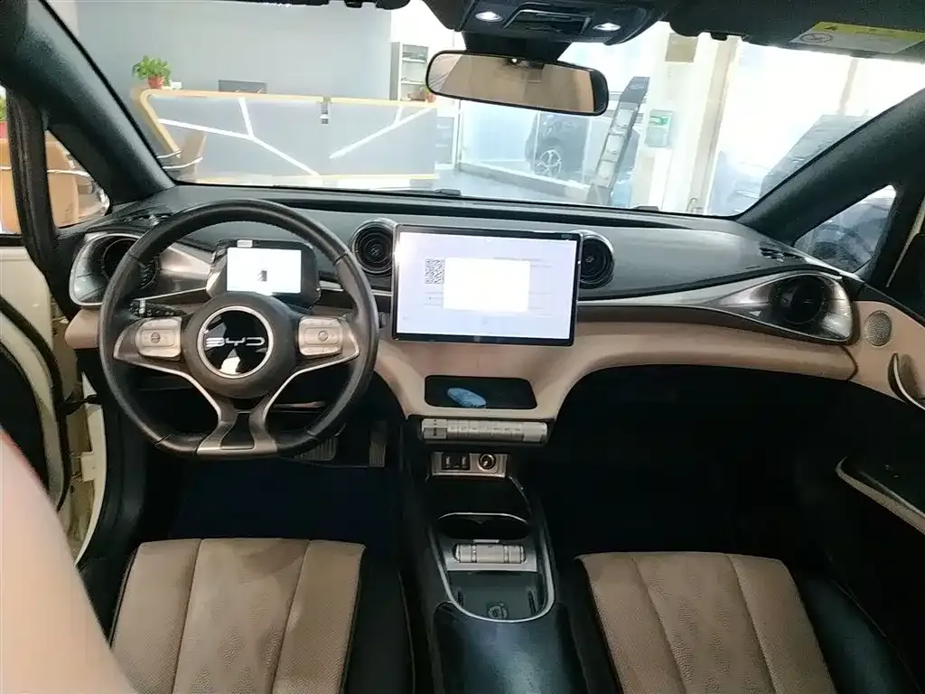 BYD Dolphin 2024 из CN, фото 6