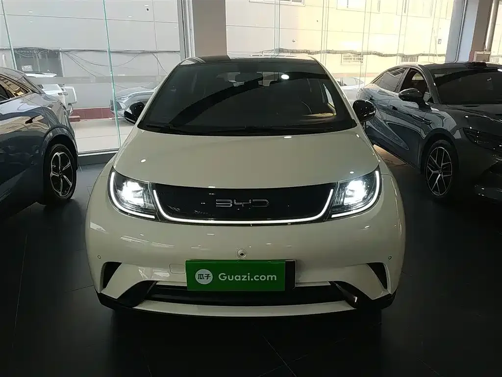 BYD Dolphin 2024 из CN, фото 3