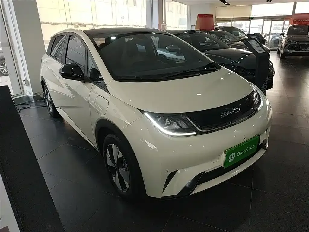 BYD Dolphin 2024 из CN, фото 9
