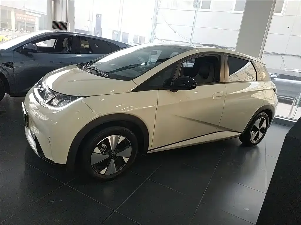BYD Dolphin 2024 из CN, фото 2
