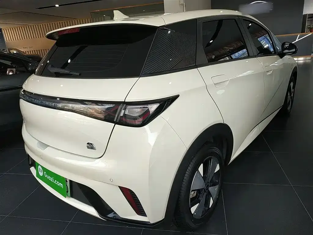BYD Dolphin 2024 из CN, фото 5