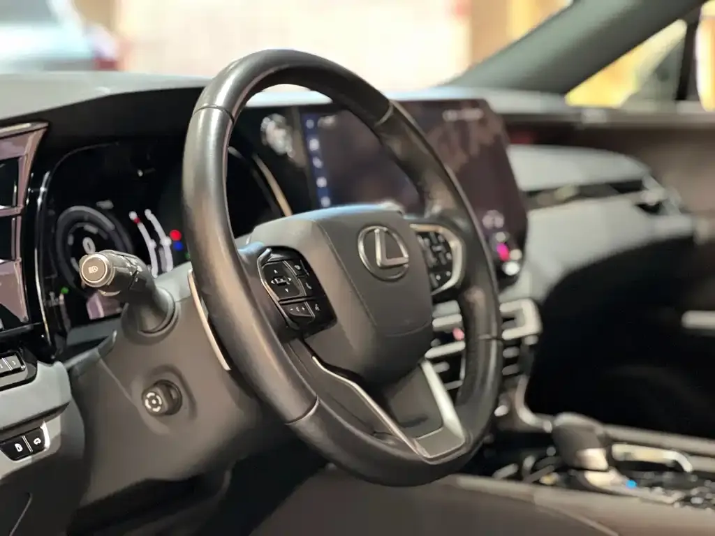 Lexus RX 2024 из CN, фото 3